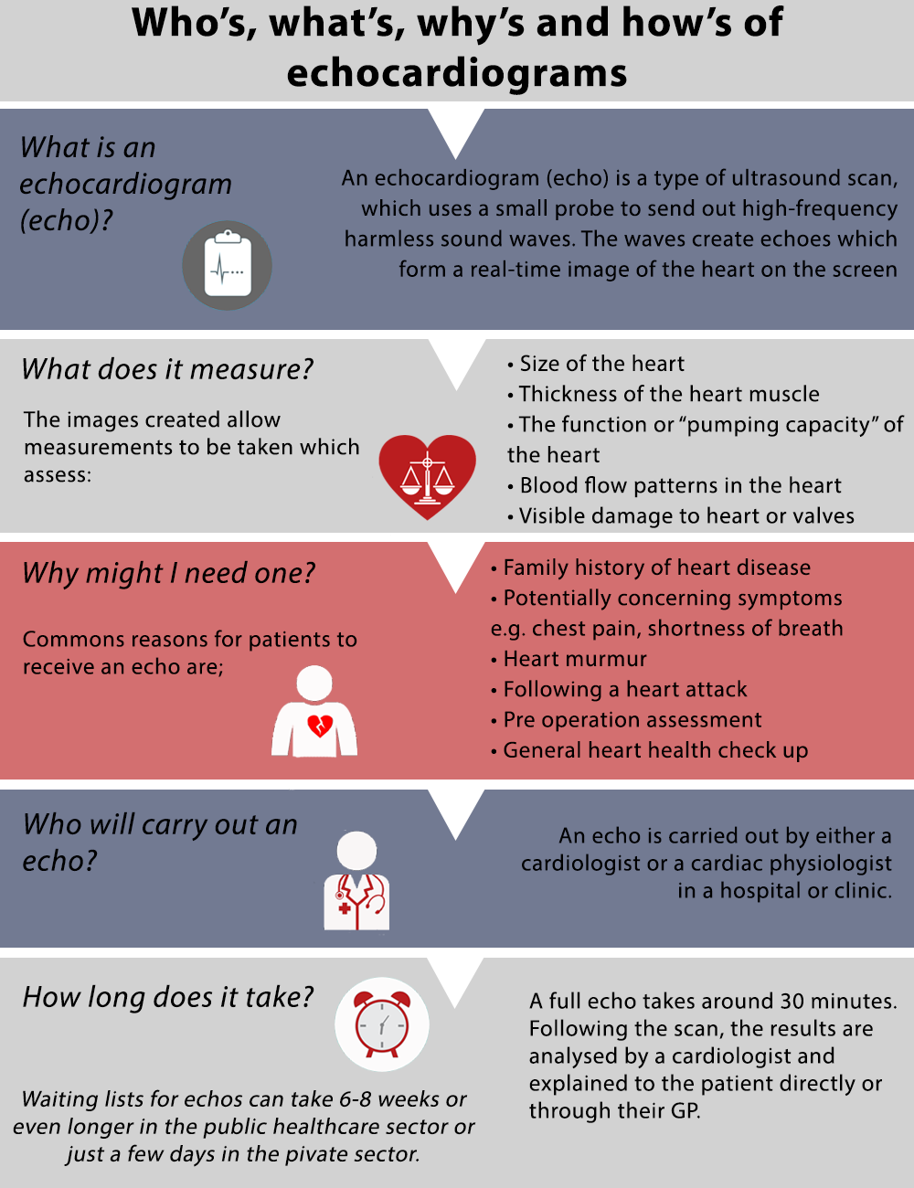 Infographic on the who's, what's, why's and how's of echocardiograms 