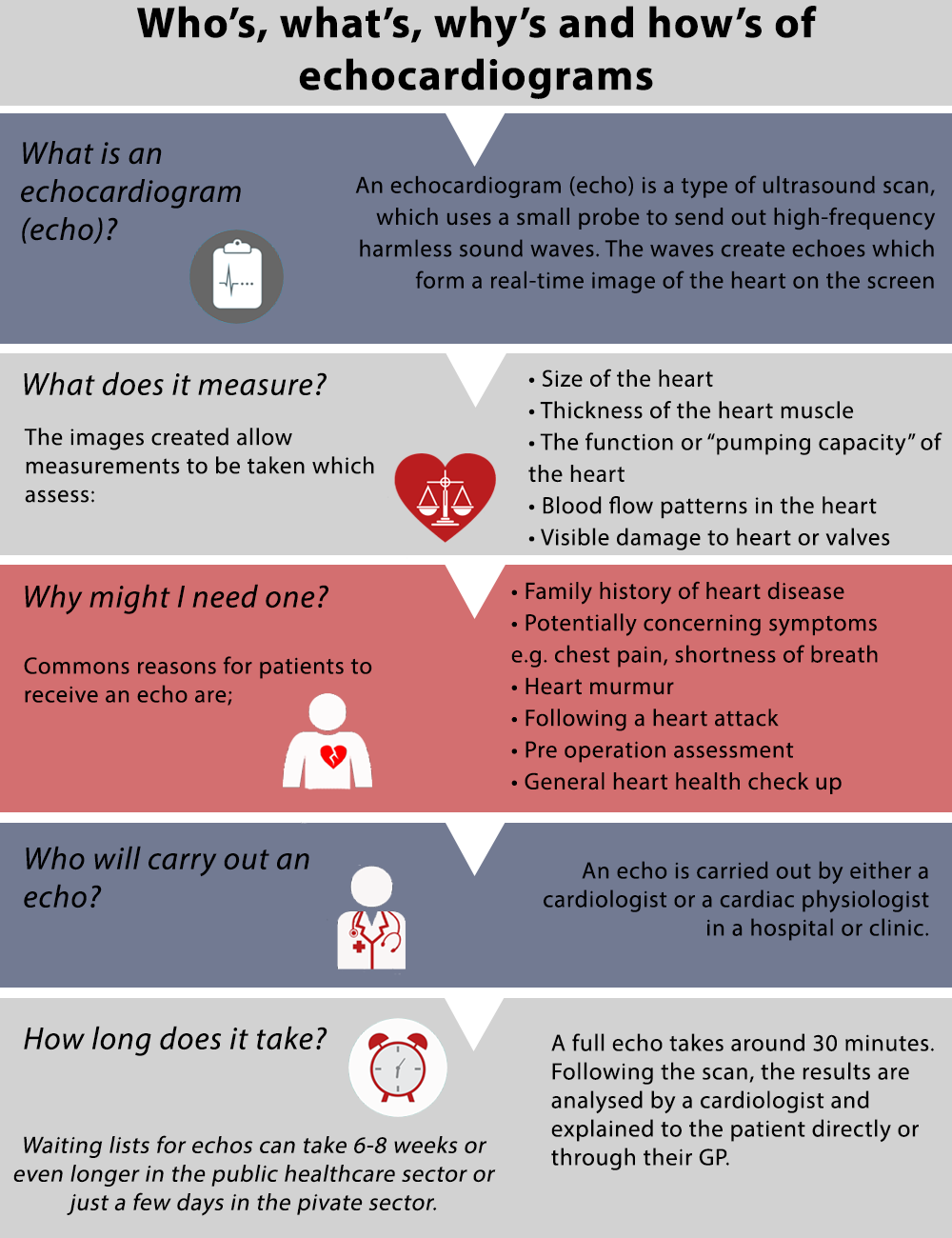 echocardiogram results